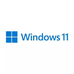MICROSOFT WIN 11 PRO 64BIT DSP